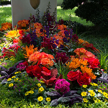 sommer bepflanzung grabpflege friedhof gaertner adrian 3 360x360