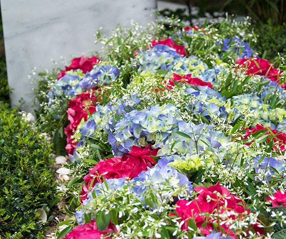 sommer bepflanzung grabpflege kindergrab friedhof gaertner adrian 2 582x486 sommer bepflanzung grabpflege kindergrab friedhof gaertner adrian 2 582x486