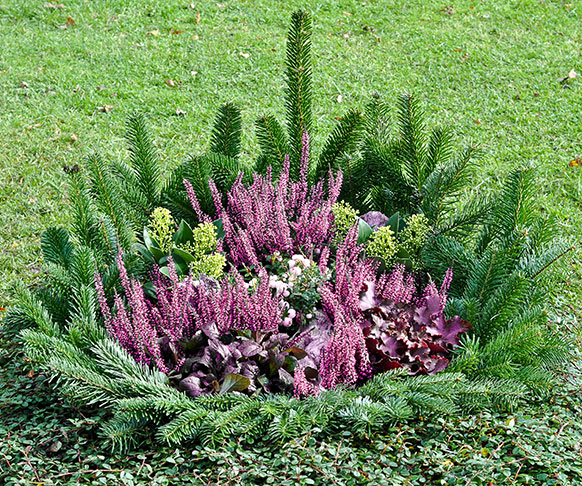 winterbepflanzung grabgestaltung friedhof gaertner adrian 5 582x486 winterbepflanzung grabgestaltung friedhof gaertner adrian 5 582x486