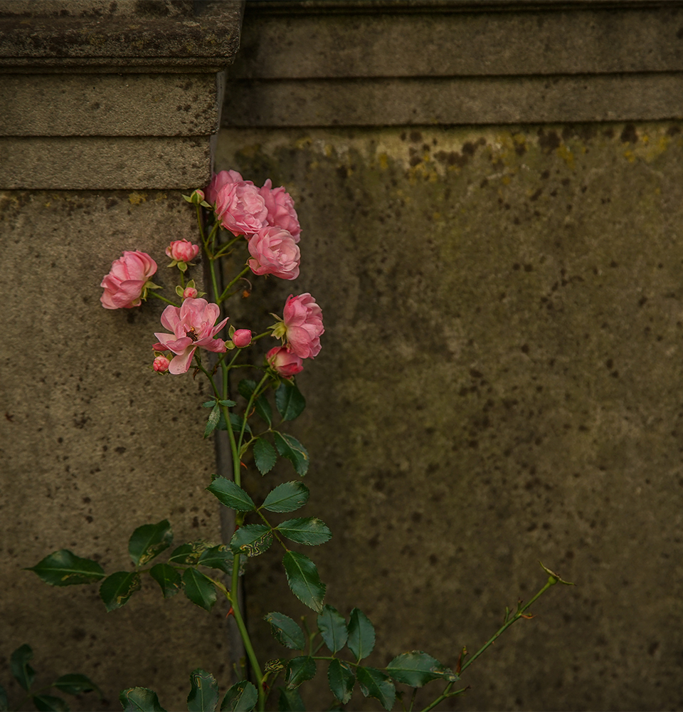 friedhofsgaernter adrian bremen friedhof grabstein 653x857